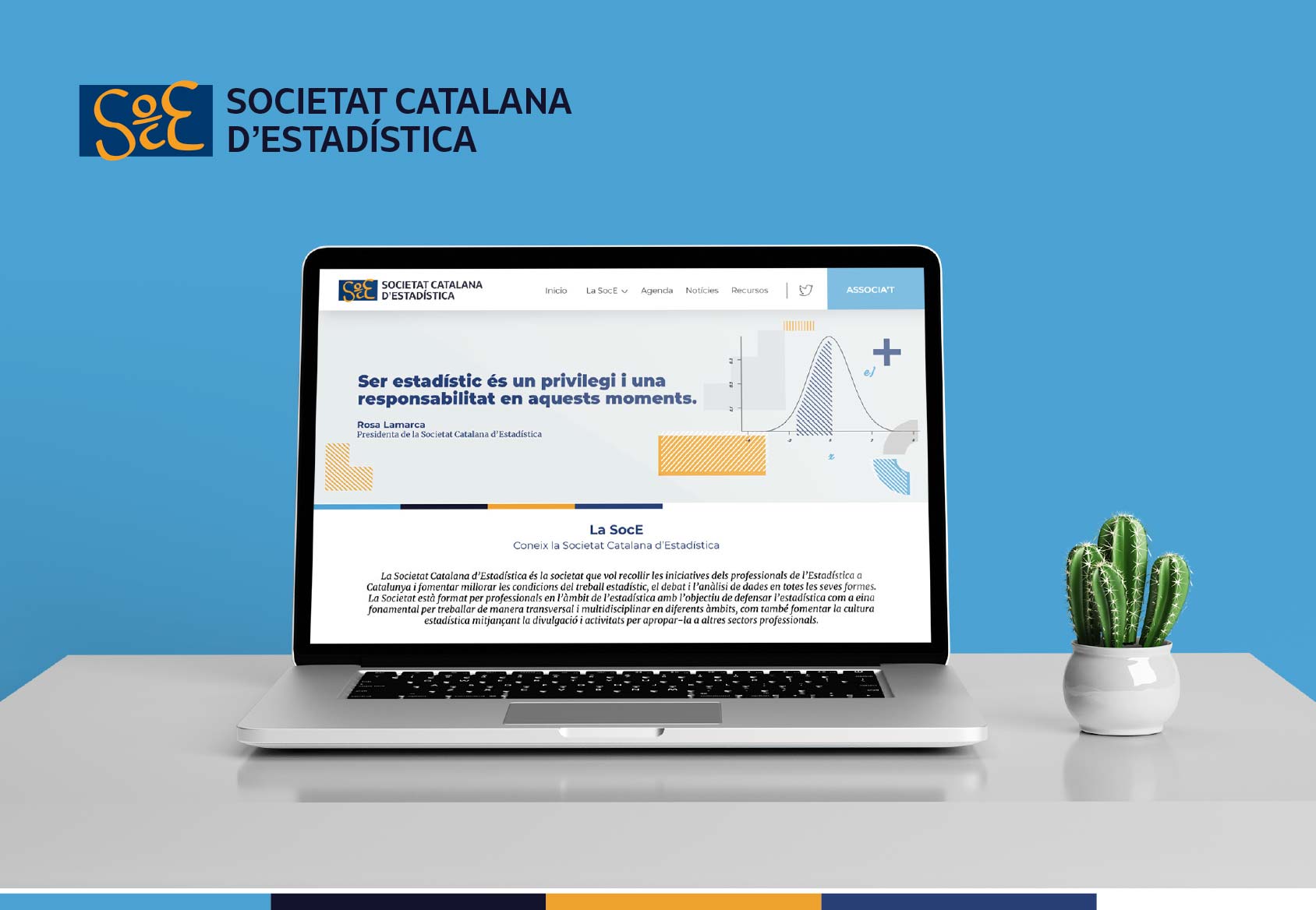 Societat Catalana d'Estadística • Brànding digital i desenvolupament d'il·lustracions de marca